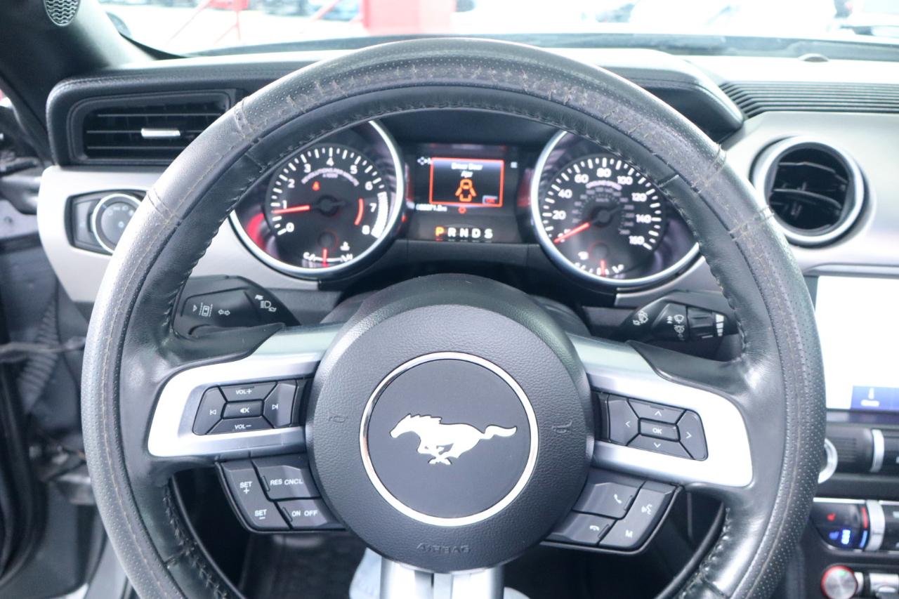 Ford Mustang EcoBoost Convertible 2023