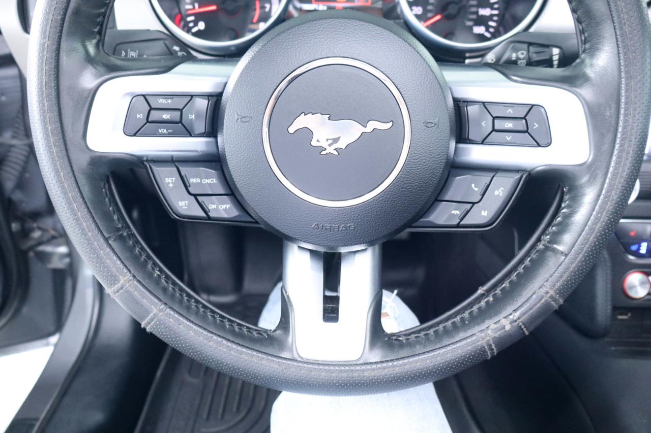 Ford Mustang EcoBoost Convertible 2023
