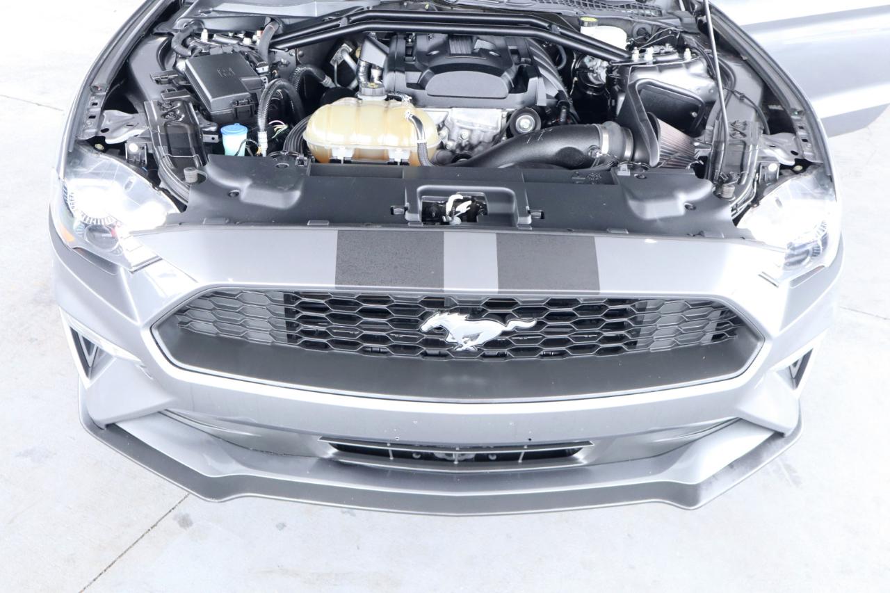 Ford Mustang EcoBoost Convertible 2023