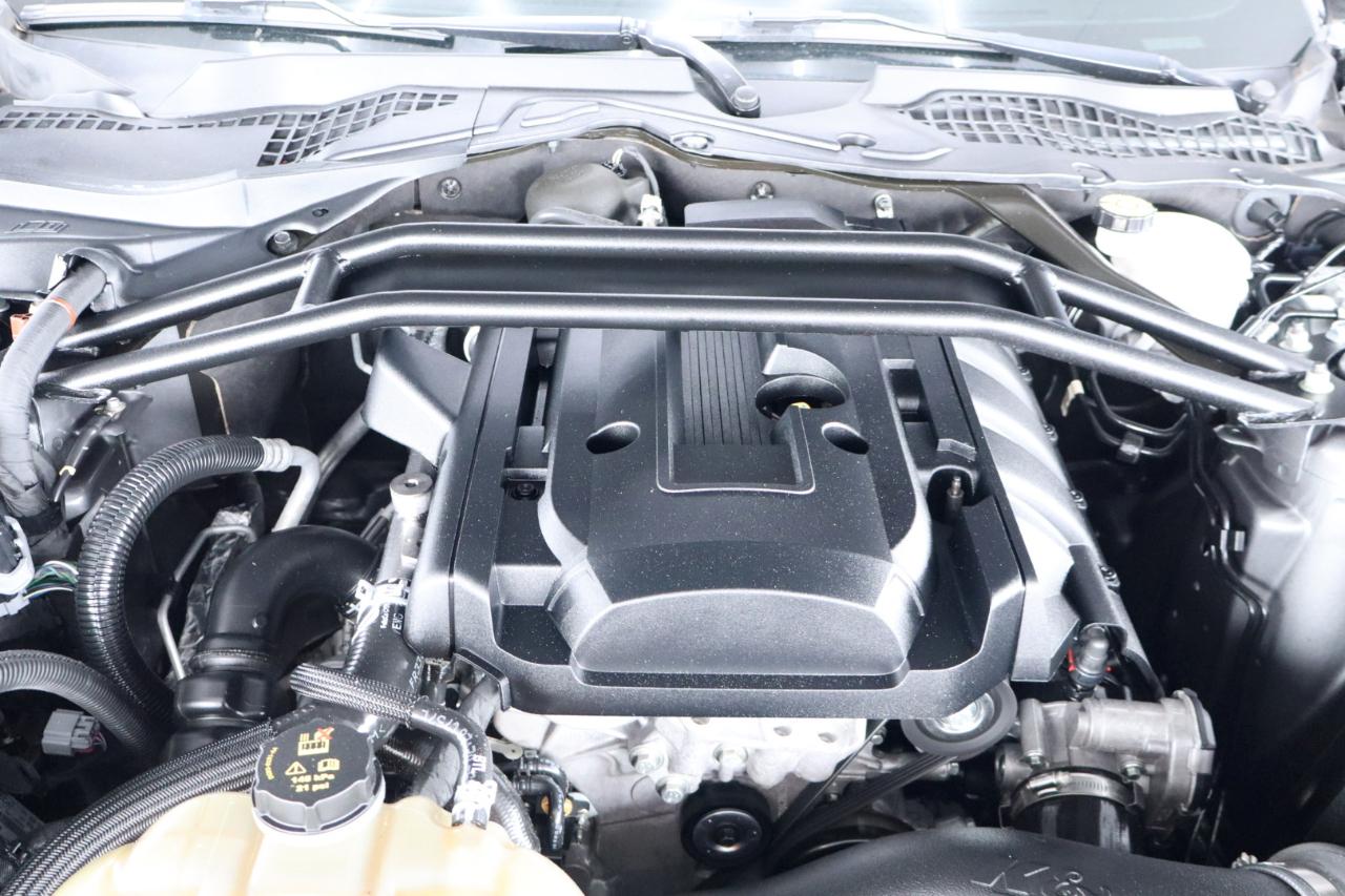 Ford Mustang EcoBoost Convertible 2023