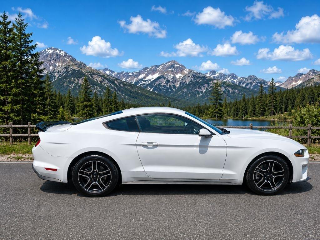 Ford Mustang EcoBoost Premium Coupe 2019