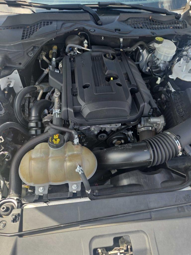 Ford Mustang EcoBoost Premium Coupe 2019