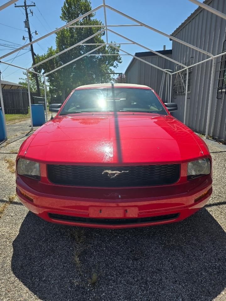 Ford Mustang 2dr Conv Deluxe 2005