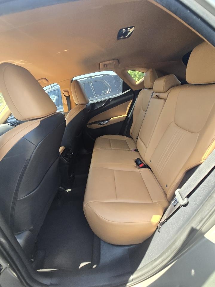 Lexus NX 250  2022