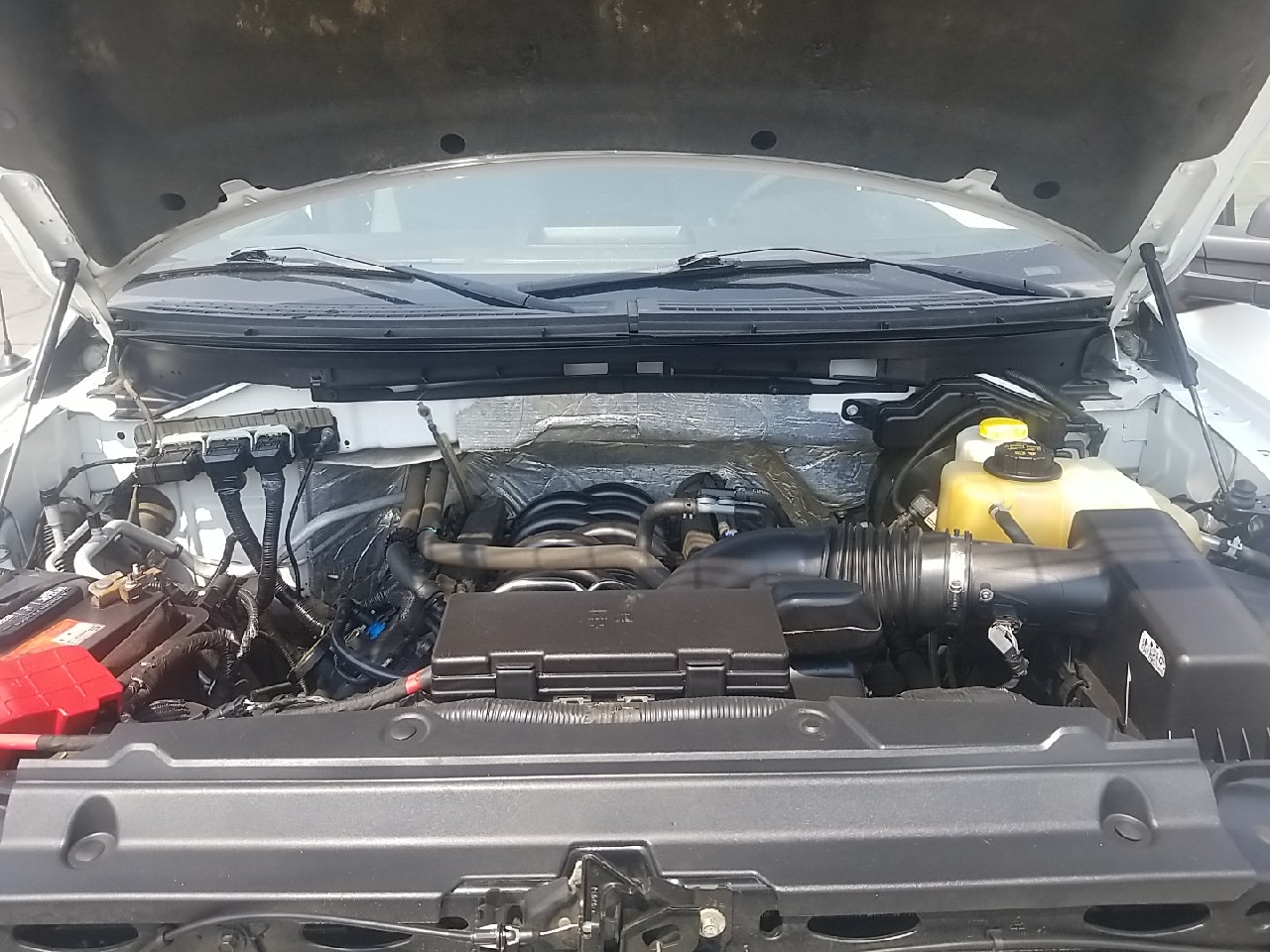 Ford F-150 4WD SuperCrew 145" XLT 2014