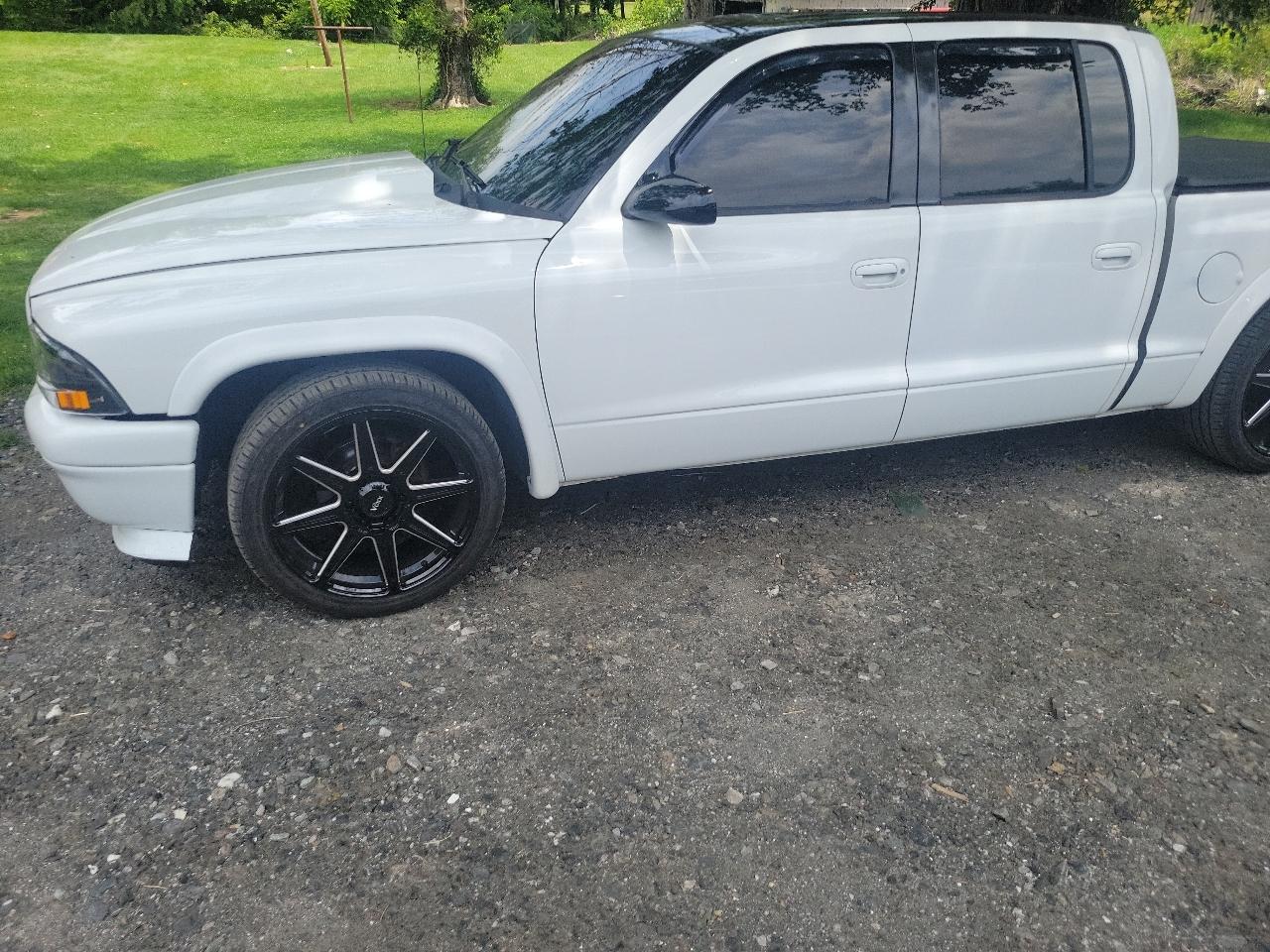 Dodge Dakota Quad Cab 2WD 2001
