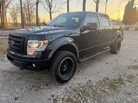 2014 Ford F-150 FX4 SuperCrew 5.5-ft. Bed 4WD