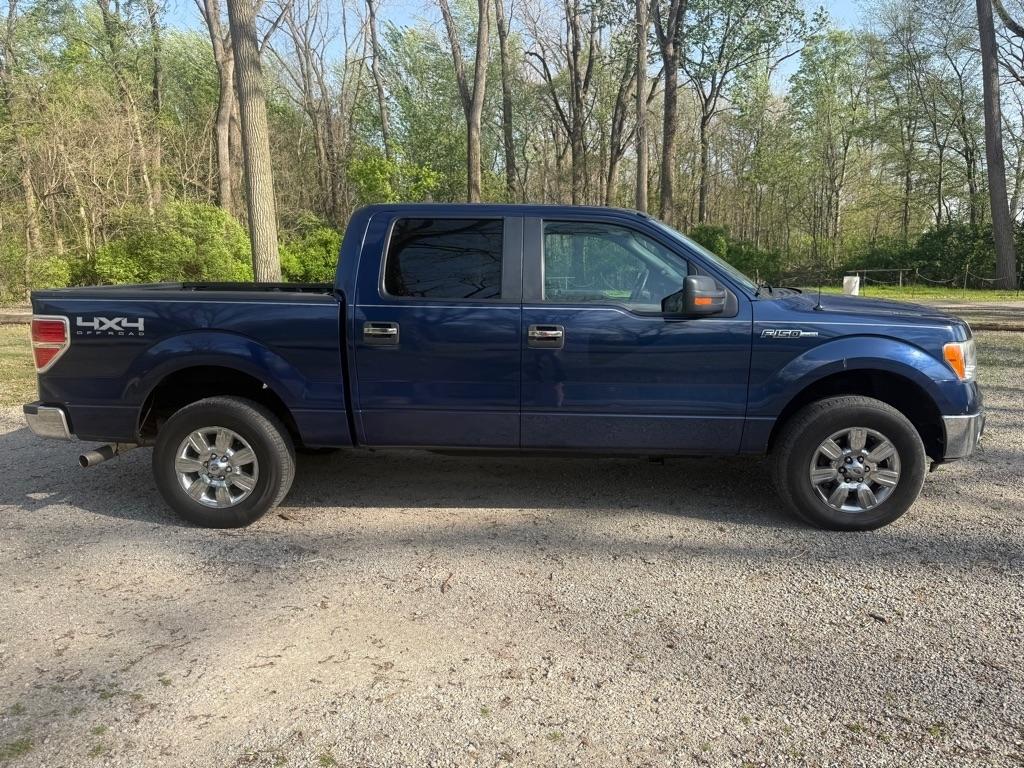 Ford F-150 XLT SuperCrew 5.5-ft. Bed 4WD 2012