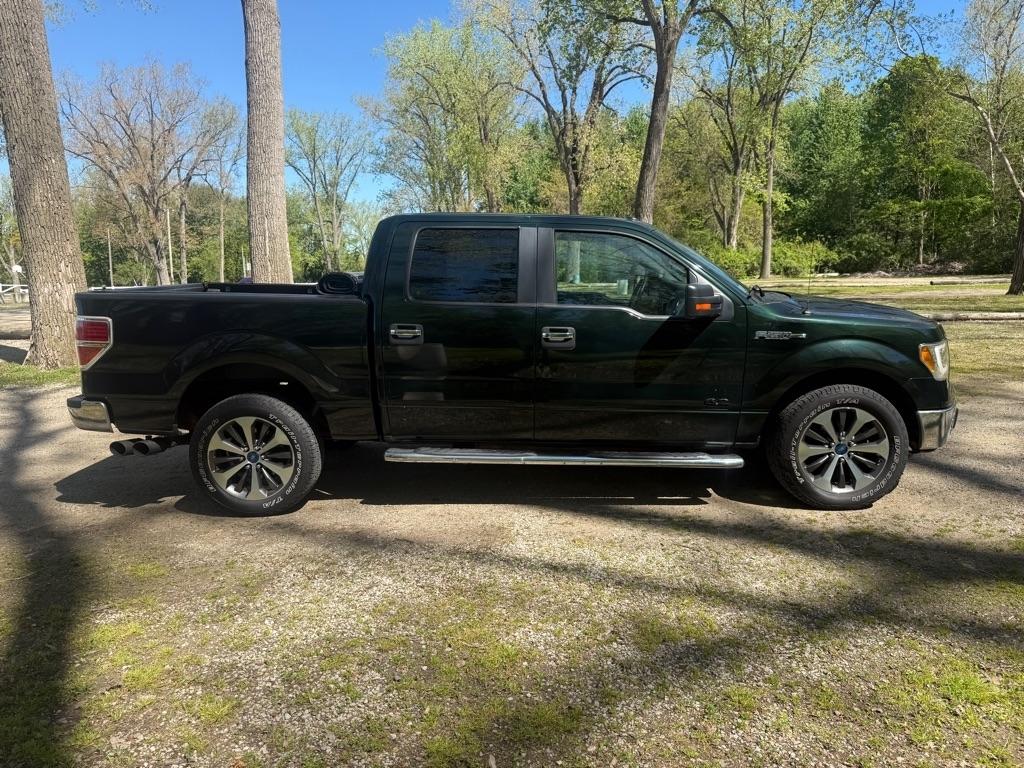 Ford F-150 XLT 4WD SuperCrew 5.5' Box 2014