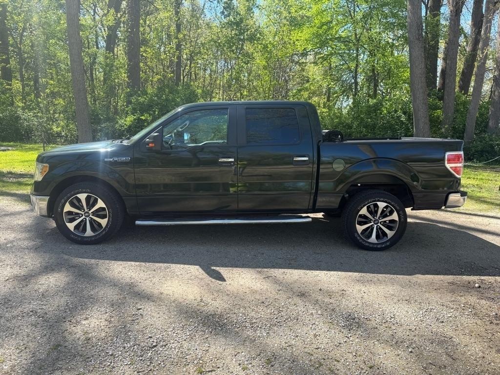 Ford F-150 XLT 4WD SuperCrew 5.5' Box 2014