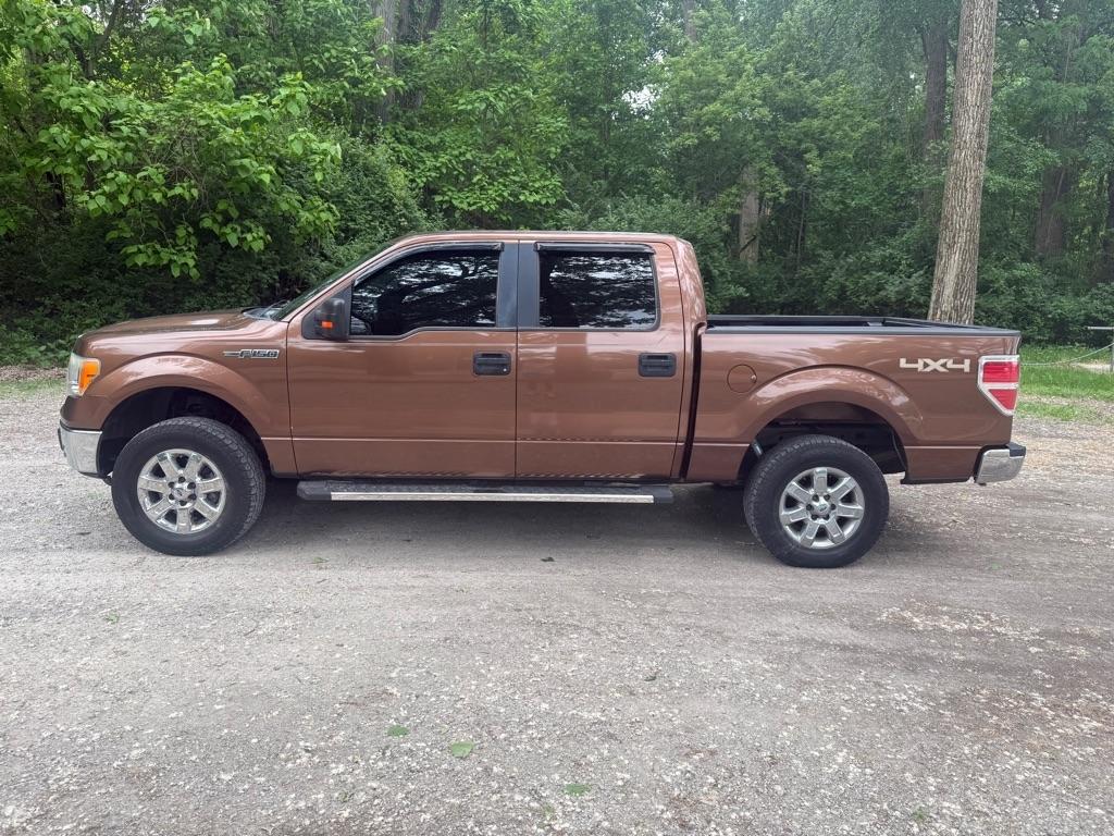 Ford F-150 XLT SuperCrew 5.5-ft. Bed 4WD 2011