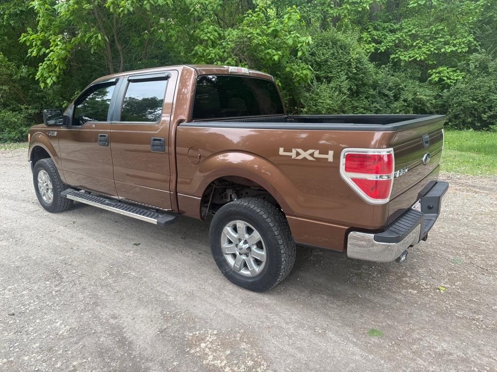 Ford F-150 XLT SuperCrew 5.5-ft. Bed 4WD 2011
