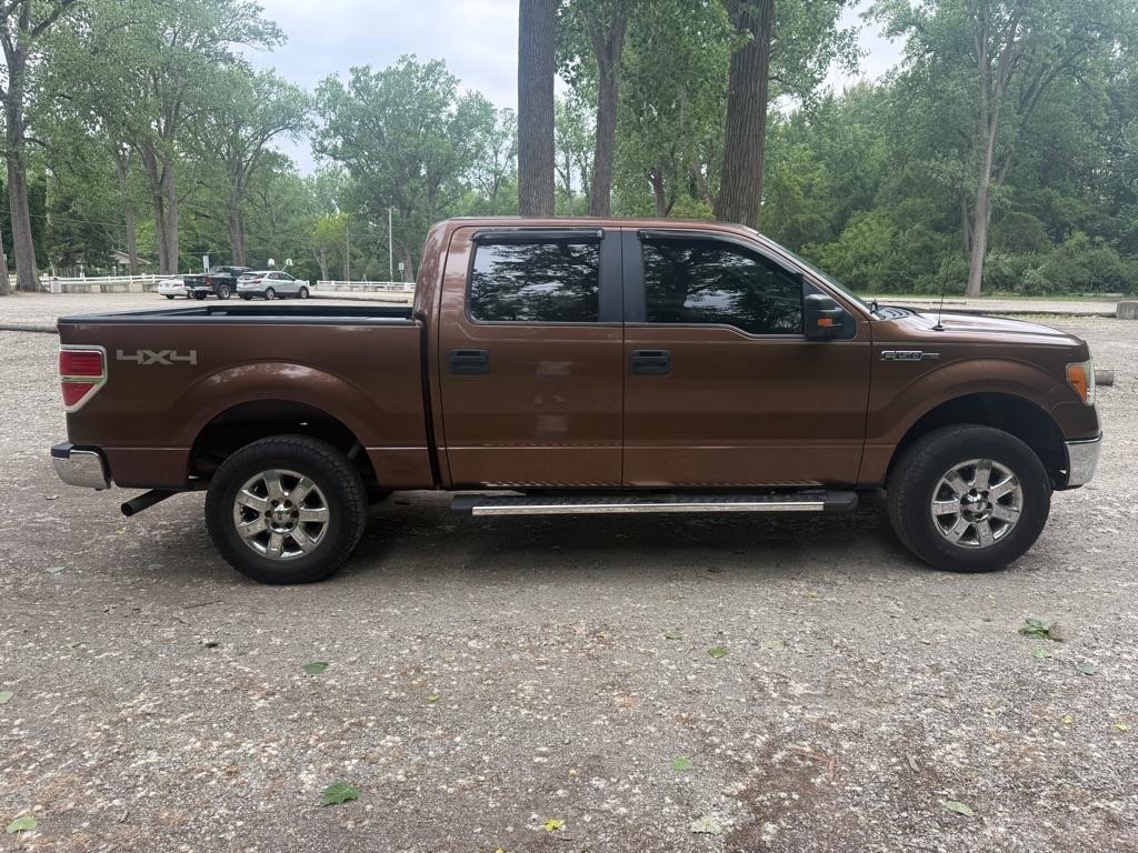 Ford F-150 XLT SuperCrew 5.5-ft. Bed 4WD 2011