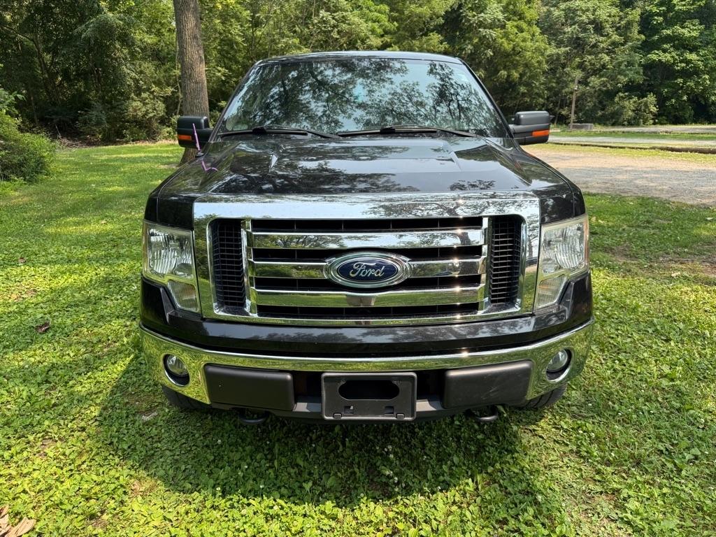 Ford F-150 XLT SuperCrew 5.5-ft. Bed 4WD 2012