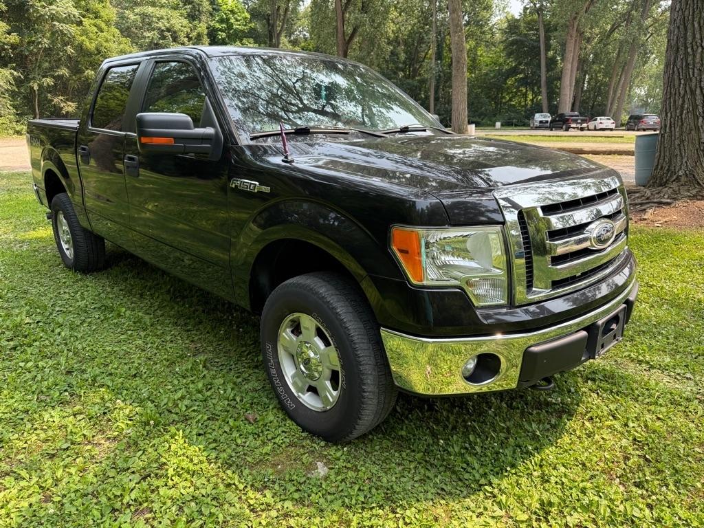 Ford F-150 XLT SuperCrew 5.5-ft. Bed 4WD 2012