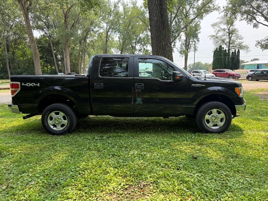 Ford F-150 XLT SuperCrew 5.5-ft. Bed 4WD 2012