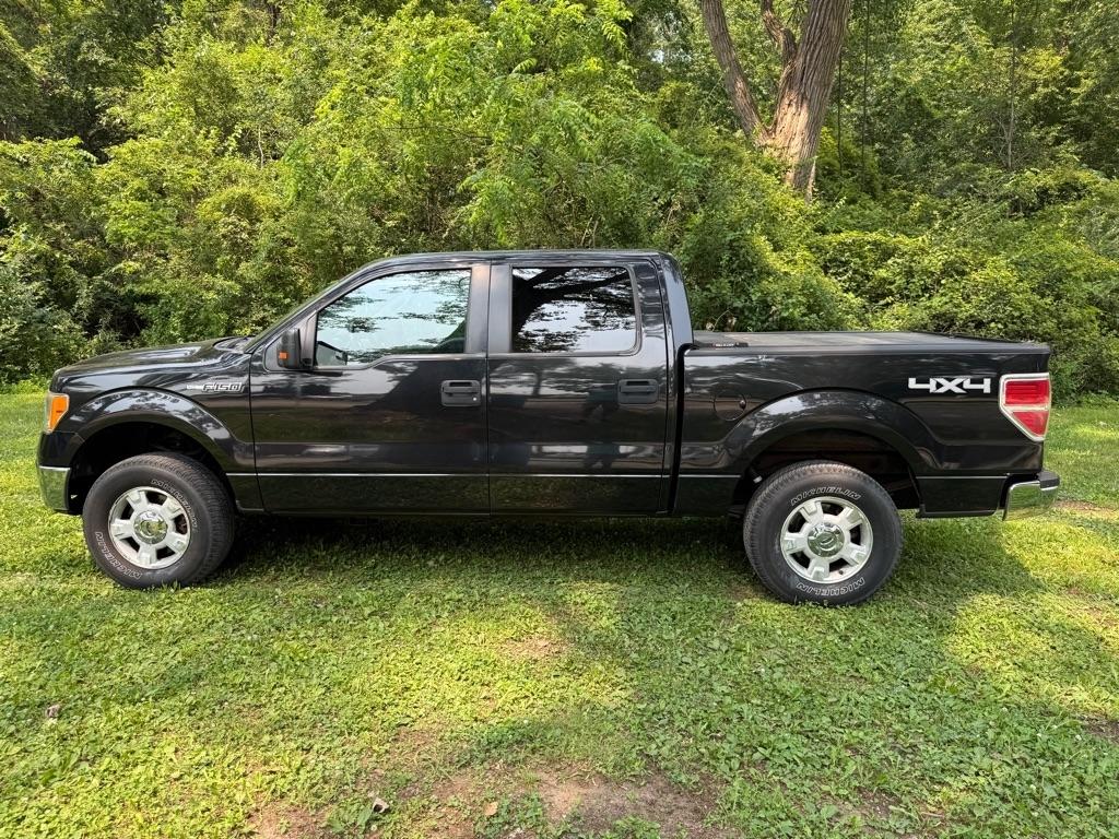 Ford F-150 XLT SuperCrew 5.5-ft. Bed 4WD 2012
