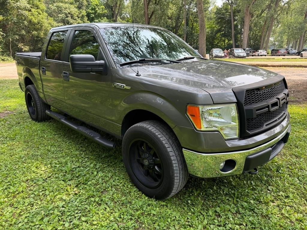 Ford F-150 XLT SuperCrew 5.5-ft. Bed 4WD 2014