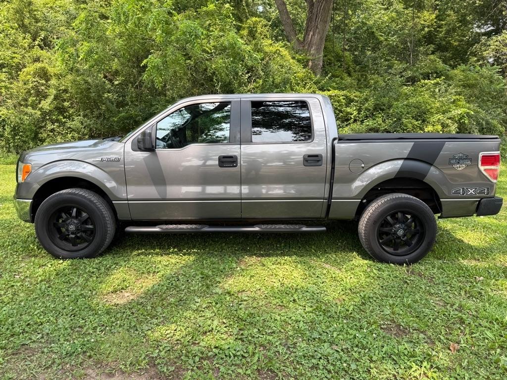 Ford F-150 XLT SuperCrew 5.5-ft. Bed 4WD 2014