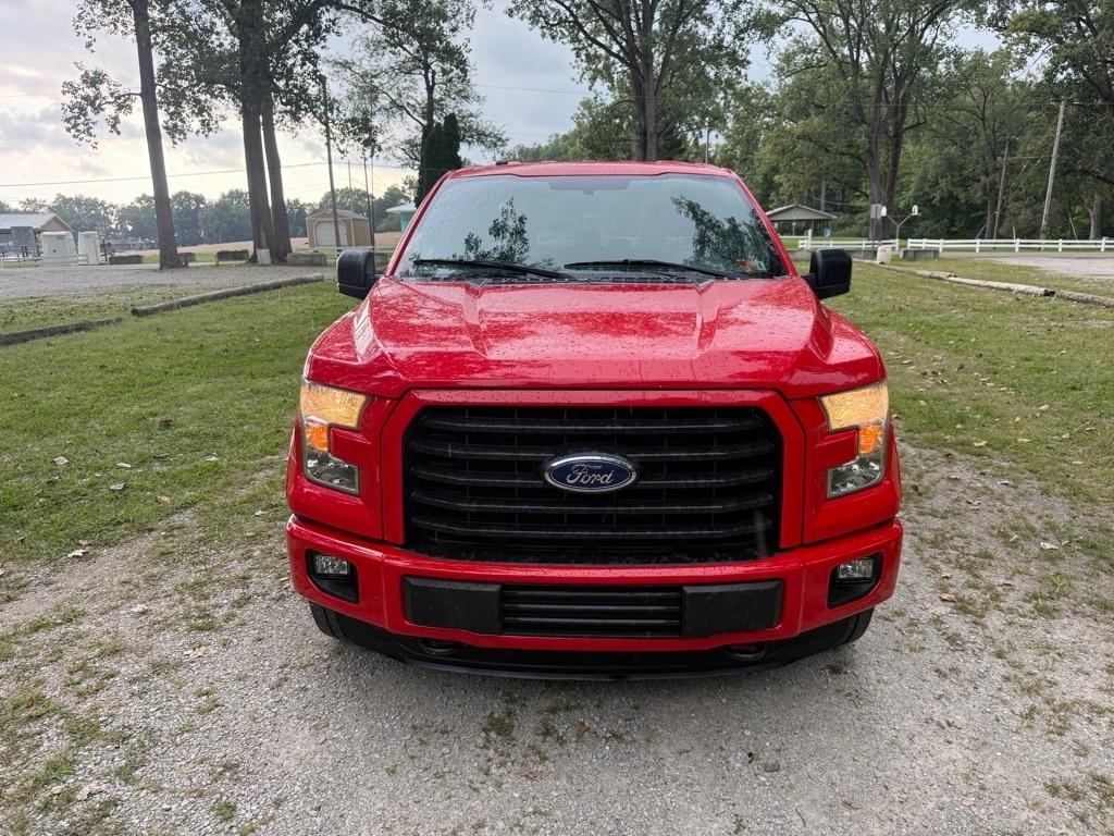 Ford F-150 XLT SuperCrew 6.5-ft. Bed 4WD 2016