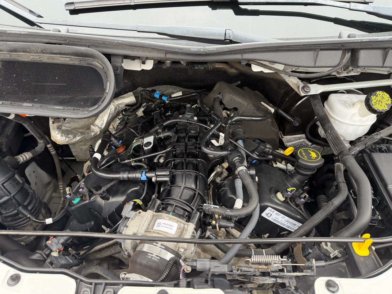 Ford Transit Cargo Van  2020 Ford Transit Cargo Van  2020