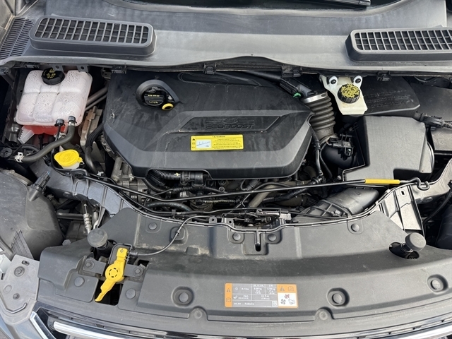 Ford Escape 4WD 4dr SEL 2013 Ford Escape 4WD 4dr SEL 2013