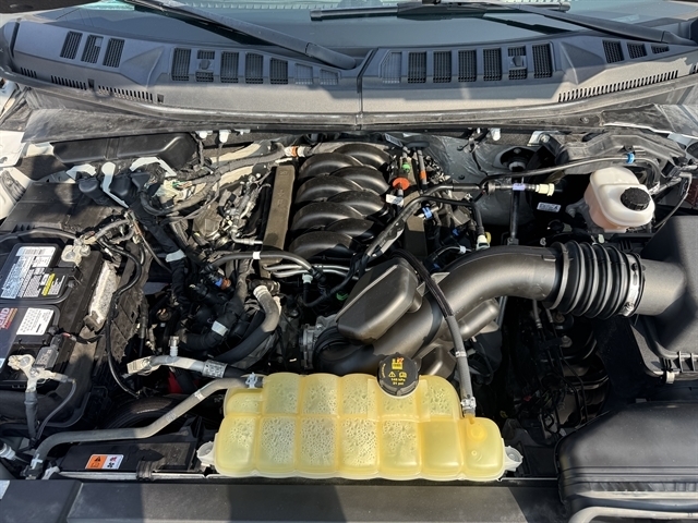 Ford F-150 XLT 4WD SuperCab 6.5' Box 2019 Ford F-150 XLT 4WD SuperCab 6.5' Box 2019