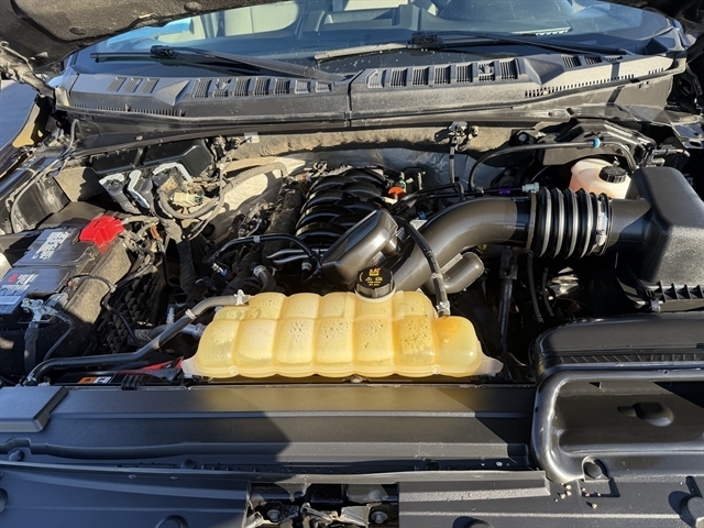 Ford F-150 XLT 4WD SuperCrew 5.5' Box 2020 Ford F-150 XLT 4WD SuperCrew 5.5' Box 2020