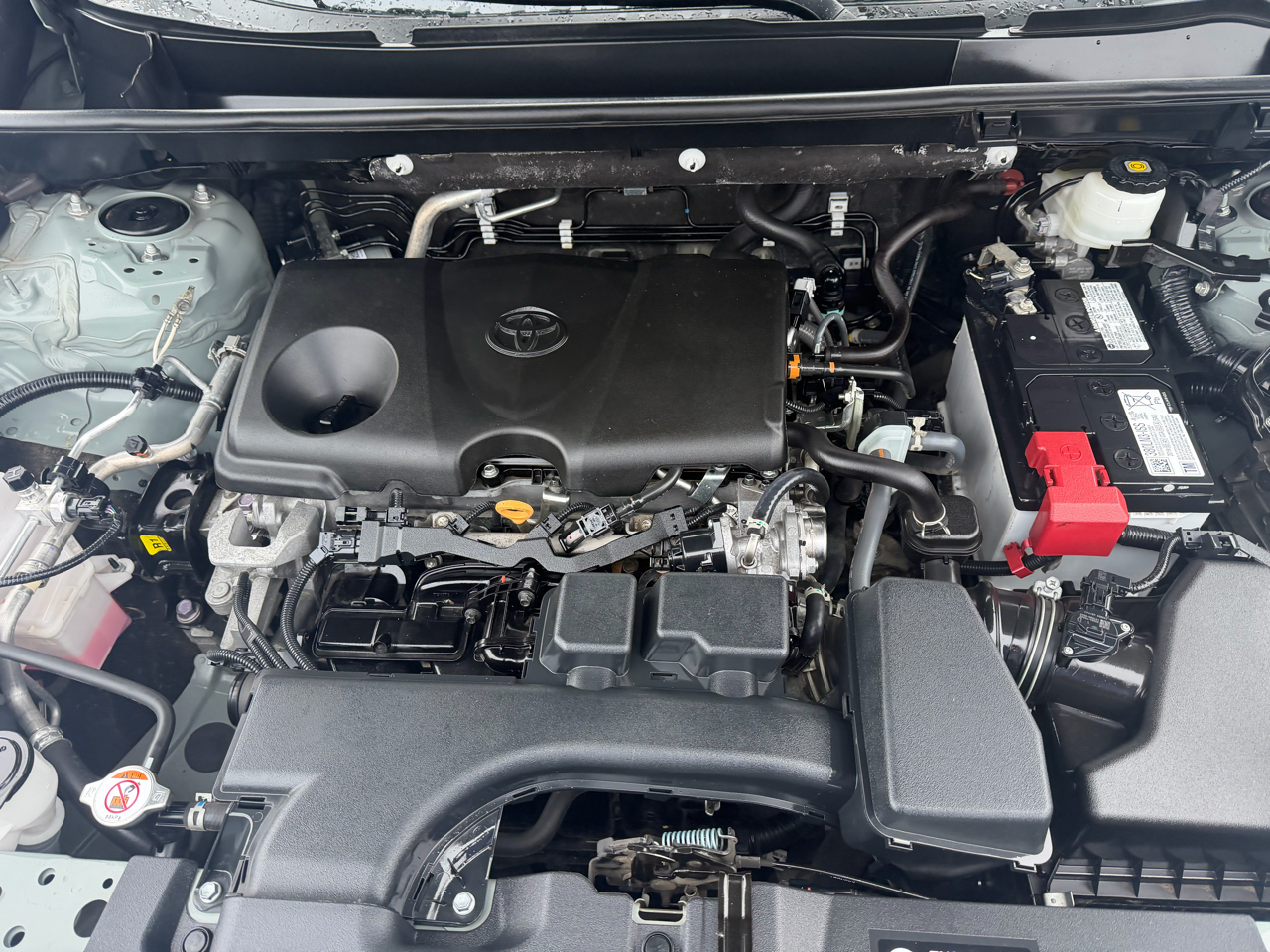 Toyota RAV4 XLE AWD (Natl) 2023