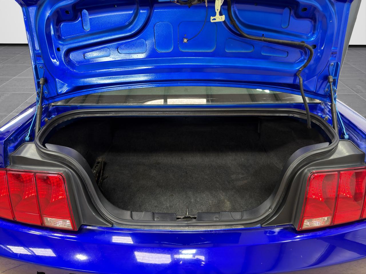 Ford Mustang 2dr Cpe 2009