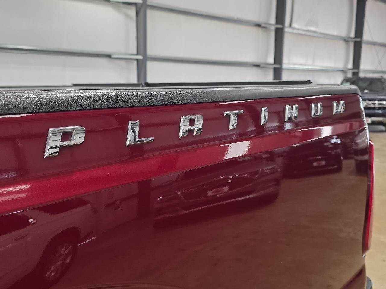 Ford Super Duty F-350 SRW 4WD Crew Cab 172" Platinum 2015
