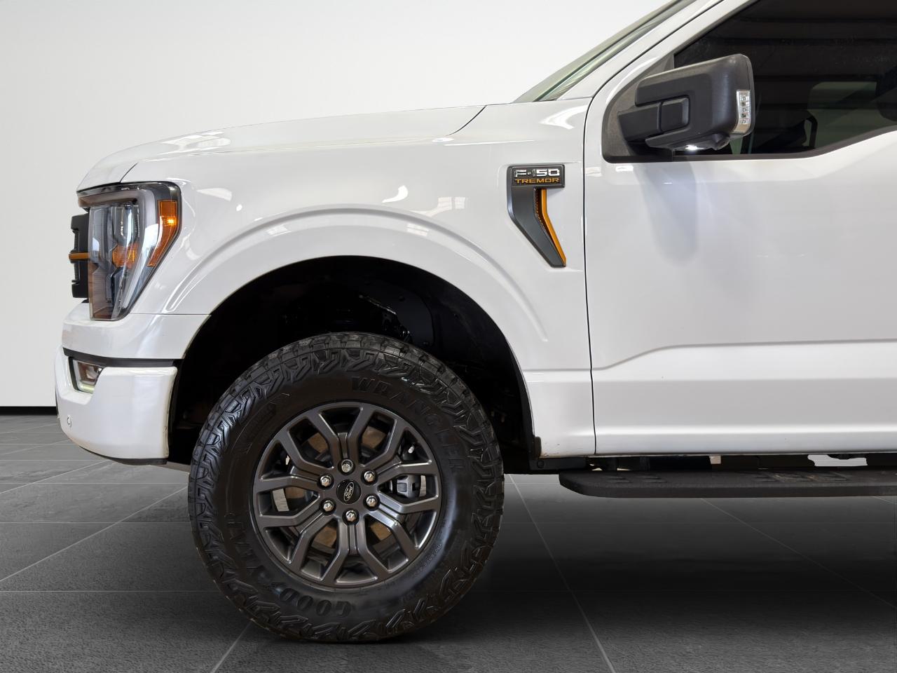 Ford F-150 Tremor 4WD SuperCrew 5.5' Box 2022
