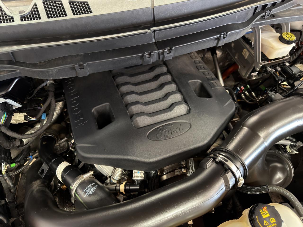 Ford F-150 Tremor 4WD SuperCrew 5.5' Box 2022