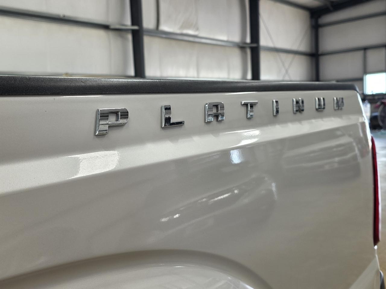 Ford Super Duty F-250 SRW 4WD Crew Cab 172" Platinum 2015