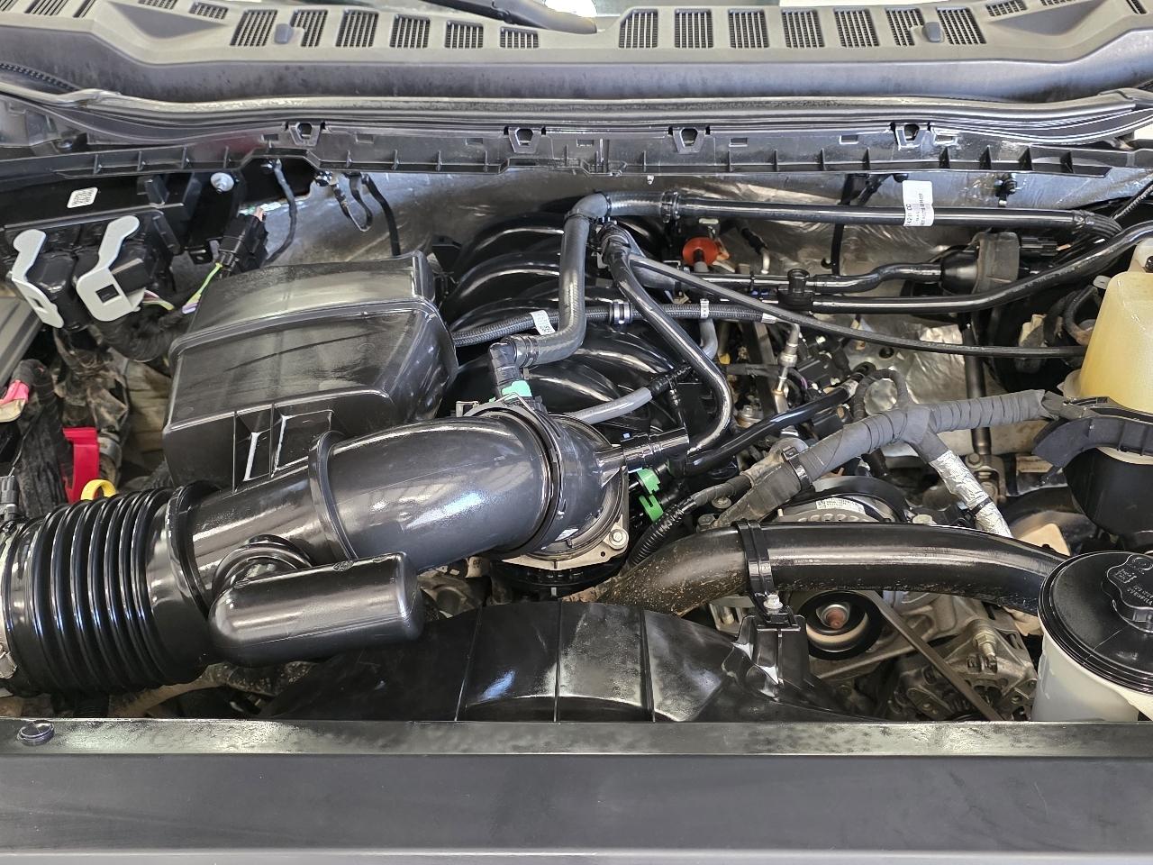 Ford Super Duty F-350 SRW XLT 4WD Crew Cab 8' Box 2024