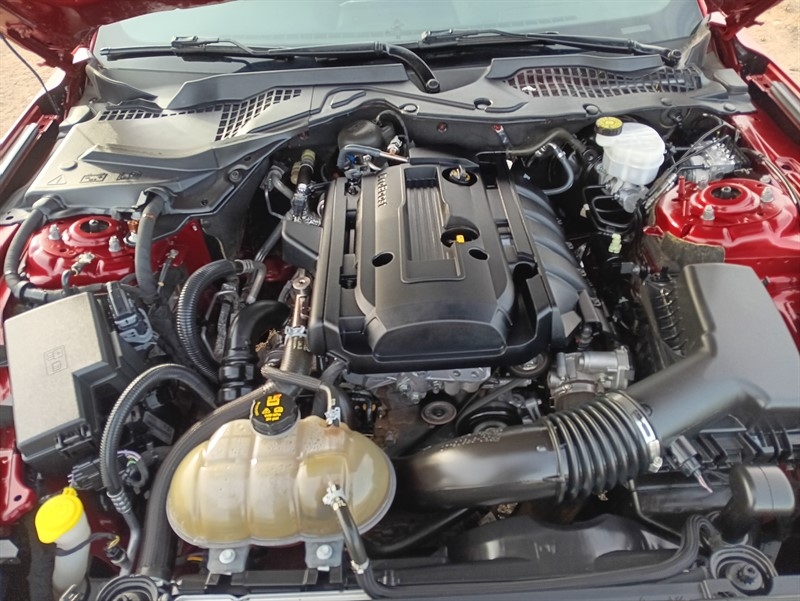 Ford Mustang EcoBoost Coupe 2019