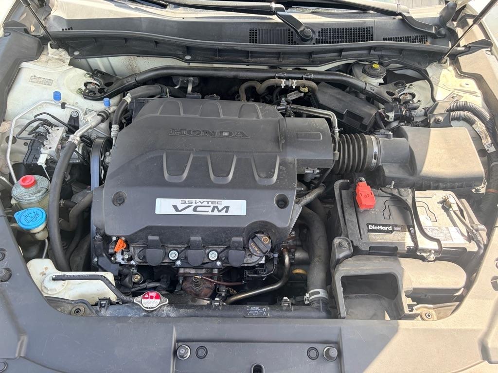 Honda Crosstour photo 10