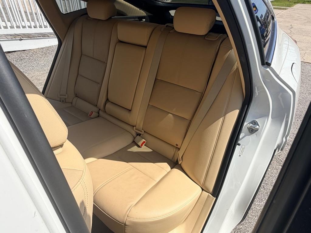 Honda Crosstour photo 12