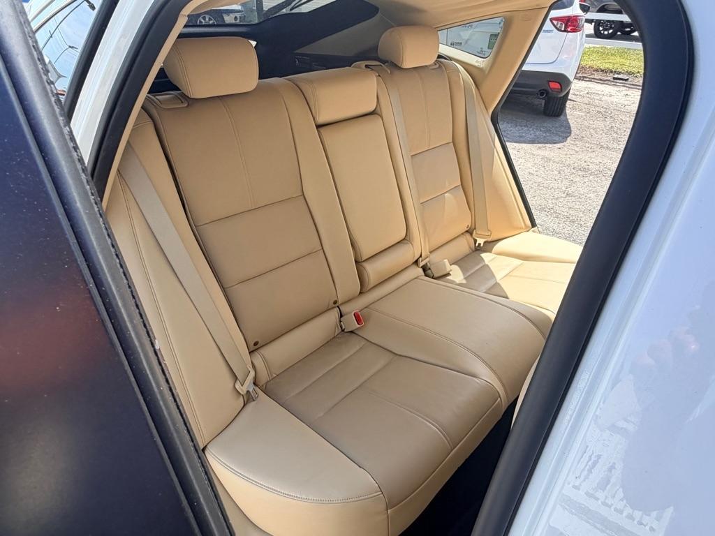 Honda Crosstour photo 13