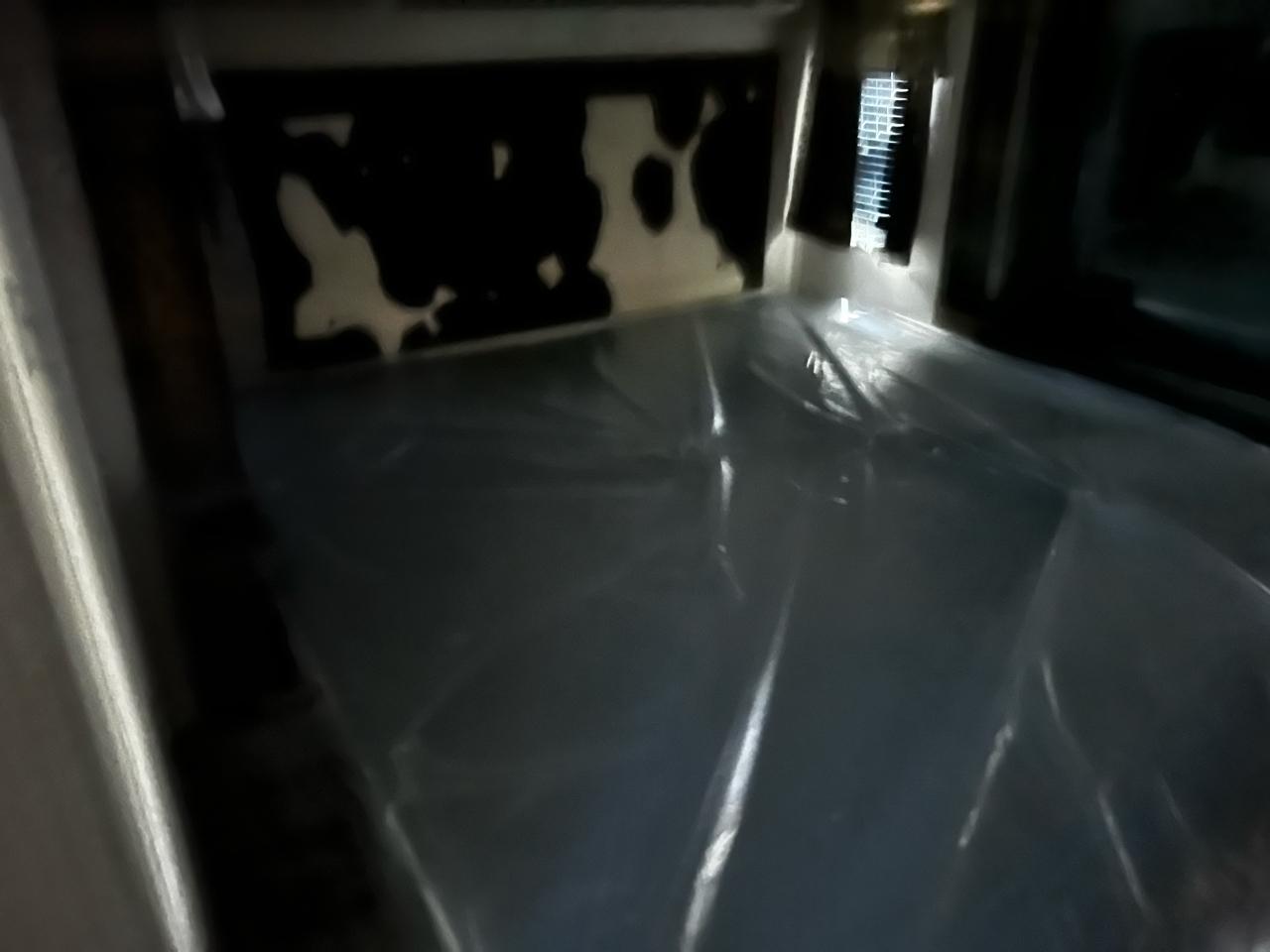 Keystone Cougar  2019