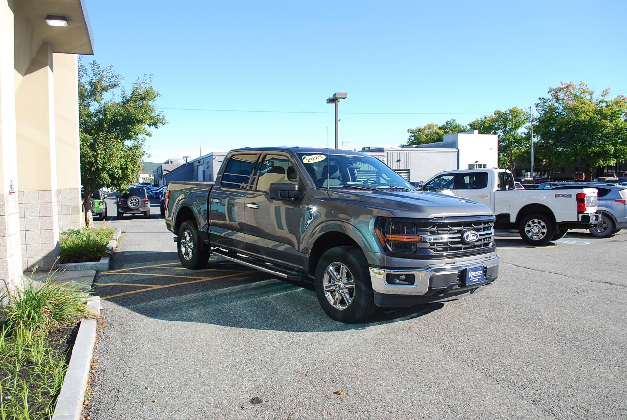Ford F-150 XLT 4WD SuperCrew 5.5' Box 2025