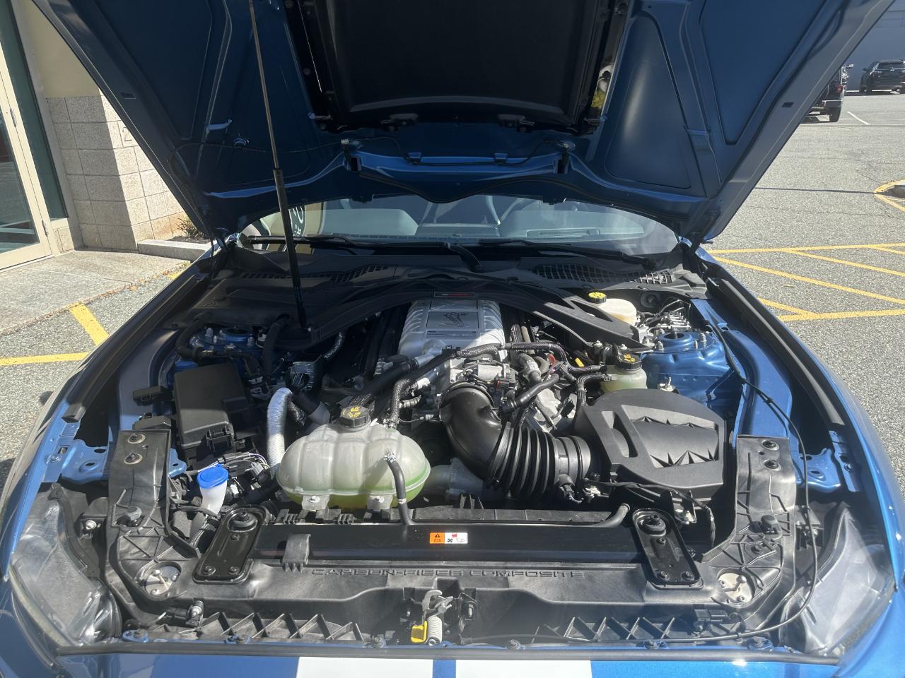 Ford Mustang Shelby GT500 Fastback 2020