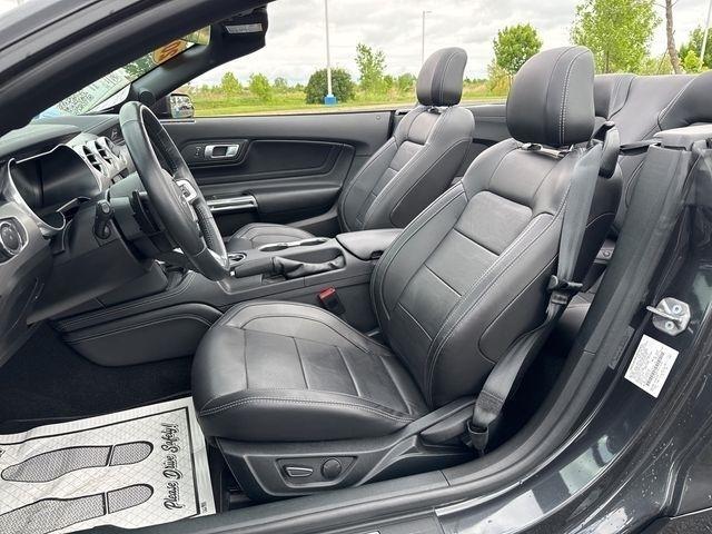 Ford Mustang GT Premium Convertible 2023