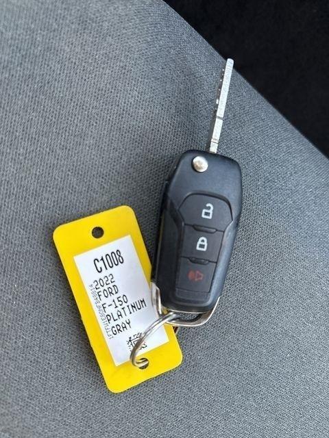 Ford F-150 XLT SuperCrew 5.5-ft. Bed 4WD 2022