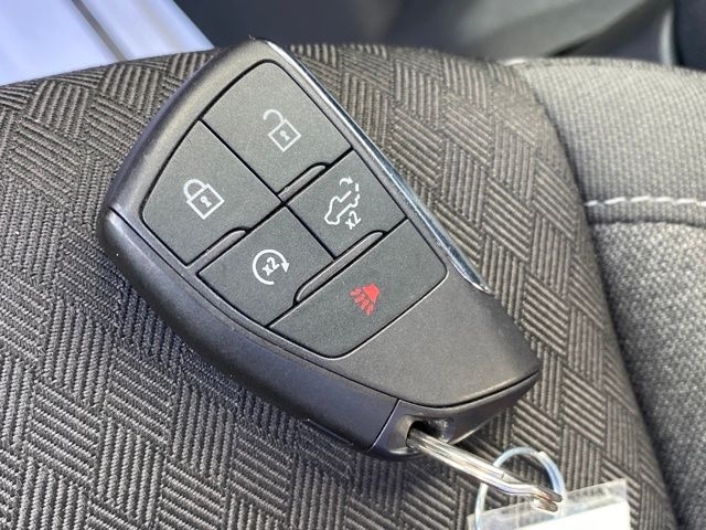 Chevrolet Silverado 1500 Trail Boss Custom Crew Cab 4WD 2024