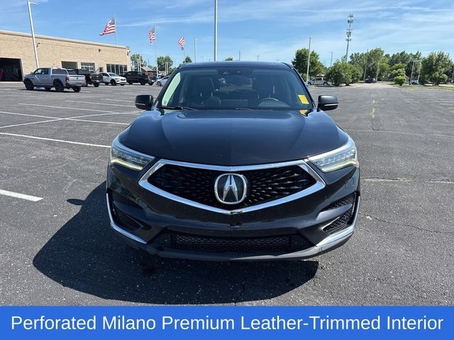 Acura RDX SH-AWD w/Advance Package 2019