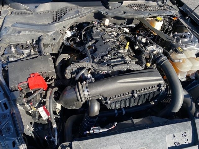 Ford Mustang EcoBoost Premium Convertible 2024