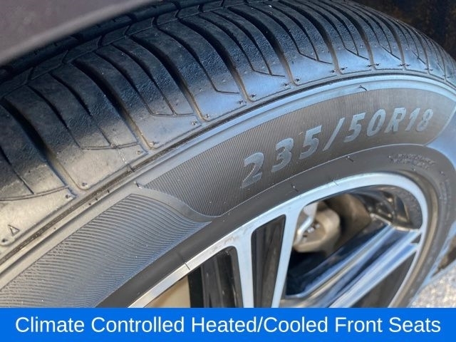 Ford Mustang EcoBoost Premium Convertible 2024