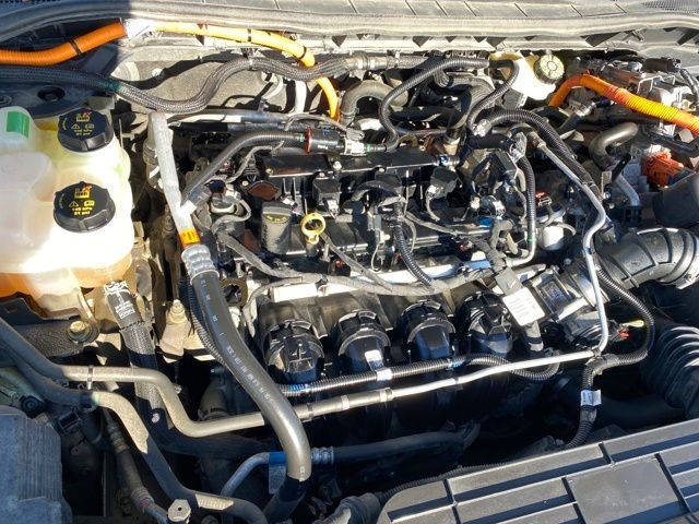 Ford Escape Hybrid SEL AWD 2021