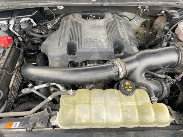 Ford Expedition XLT 4WD 2020